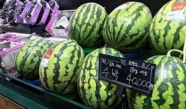 韩国网红echi吃瓜,揭秘娱乐圈幕后故事